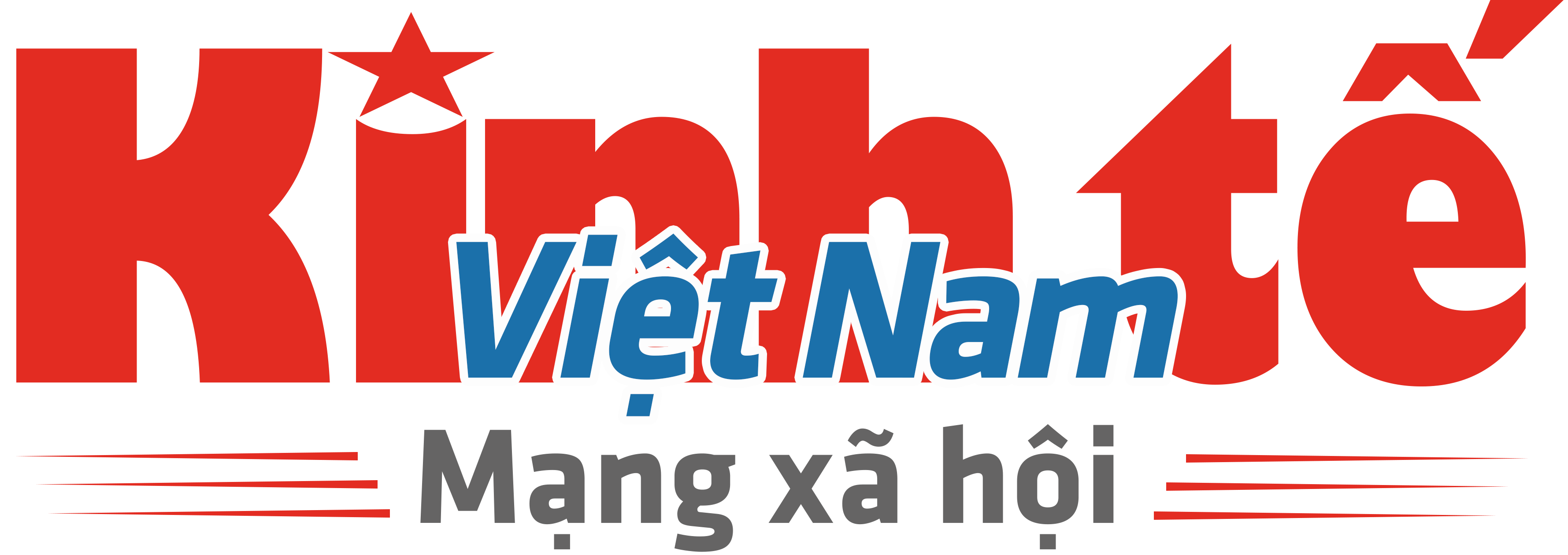 MẠNG XÃ HỘI KINH TẾ VIỆT NAM - ĐỒNG HÀNH CÙNG SỰ PHÁT TRIỂN CỦA DOANH NGHIỆP VIỆT